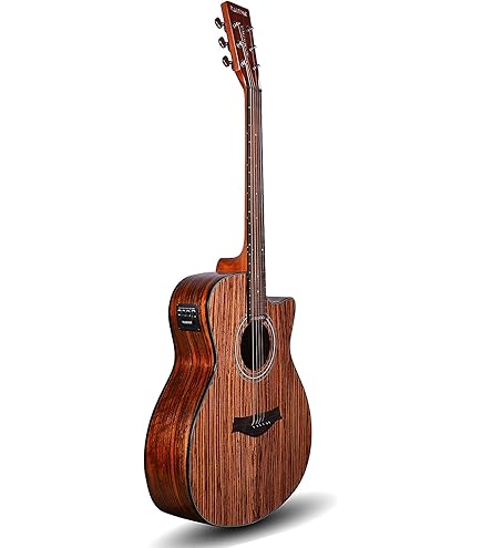 1D ONE DIRECTION ACOUSTIC GUITAR : Amazon.in: Musical Instruments