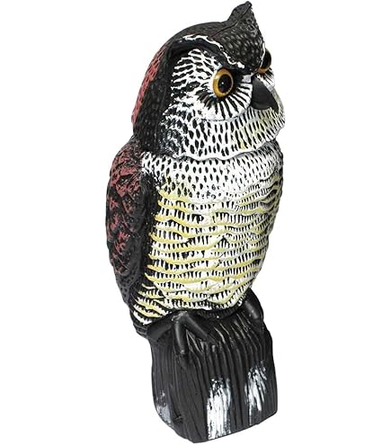 Effaroucheur Oiseaux Anti Pigeon Pour Balcon, Effaroucheur Pigeons Repulsif Pigeon Repulsif Oiseaux Exterieur, Anti-Pigeon, Epouvantail Oiseaux, Carton Effaroucheur D'oiseaux Avec Spirale RéPulsif