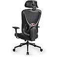 Eucladoceros Ergonomic Office Chair - Lift Up Backrest Desk Chair with Adjustable 3D Lumbar Support, Headrest & Armrest - Gaming Chair with 125° Tilt Lock, Swivel Task Chairs with Nylon Caster(Black)