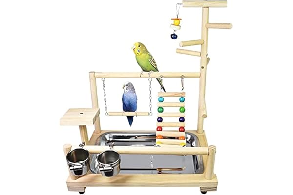 ATB-GIFT des Oiseaux Playstand, Aire de Jeux pour Oiseaux, Perroquet Oiseau Perch pour Perroquets, Cockatiels, Perruches, Conures, Joue Verte(37 * 26 * 44CM), (W140)