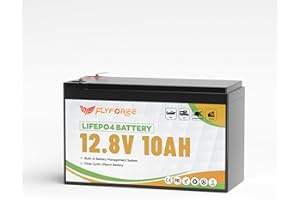 FLYFOREE Batterie LiFePO4 12V 10Ah BMS intégré et cellules de Grade A, Batterie de Lithium de Cycles Profonds de 17500 Batteries Rechargeables faciles pour RV, Moteur de trongling, Solaire, Voiture de Golf