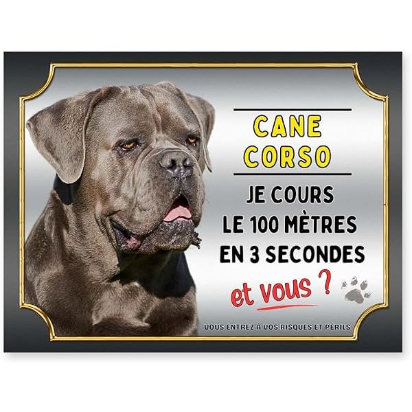 Cane Corso Dad Breed Daddy Puppy Propriétaire Chien Père Papa Sweater e