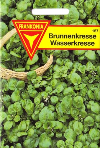 Brunnenkresse, Wasserkresse, Nasturtium officinale, Samen für ca. 2 qm