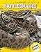 Produktbild Rattlesnakes (Xtreme Snakes)