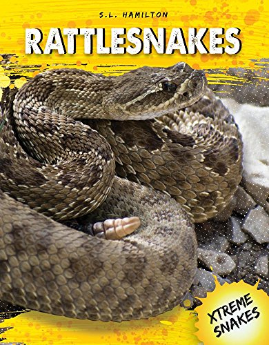 Preisvergleich Produktbild Rattlesnakes (Xtreme Snakes)