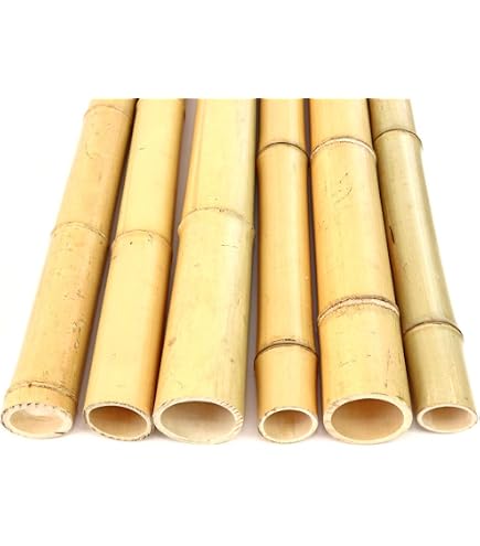 1x Bambusrohr 300cm gelb Gebleicht mit dickem 12 bis 14cm Durchmesser - XXL  Bambusstab 3m lang : Amazon.de: Garten