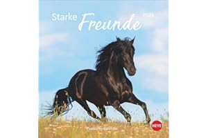 Pferde Postkartenkalender 2025 - Starke Freunde: Pferdefotografin Sabine Stuewer setzt die edlen Tiere in einem kleinen Kalender perfekt in Szene. ... (Postkartenkalender Heye)