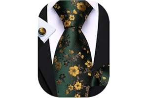 Barry.Wang Mens Floral Ties Set Silk Necktie Handkerchief Cufflinks for Formal Wedding Business