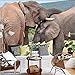 Produktbild Hwhz Tapete 3D Benutzerdefinierte Hd Retro Löwe Tiger Elefant 3D Stereo Tier Wandbild Close Up Tv Hintergrund Wand Wohnzimmer Hotel Tapete E-350X250Cm