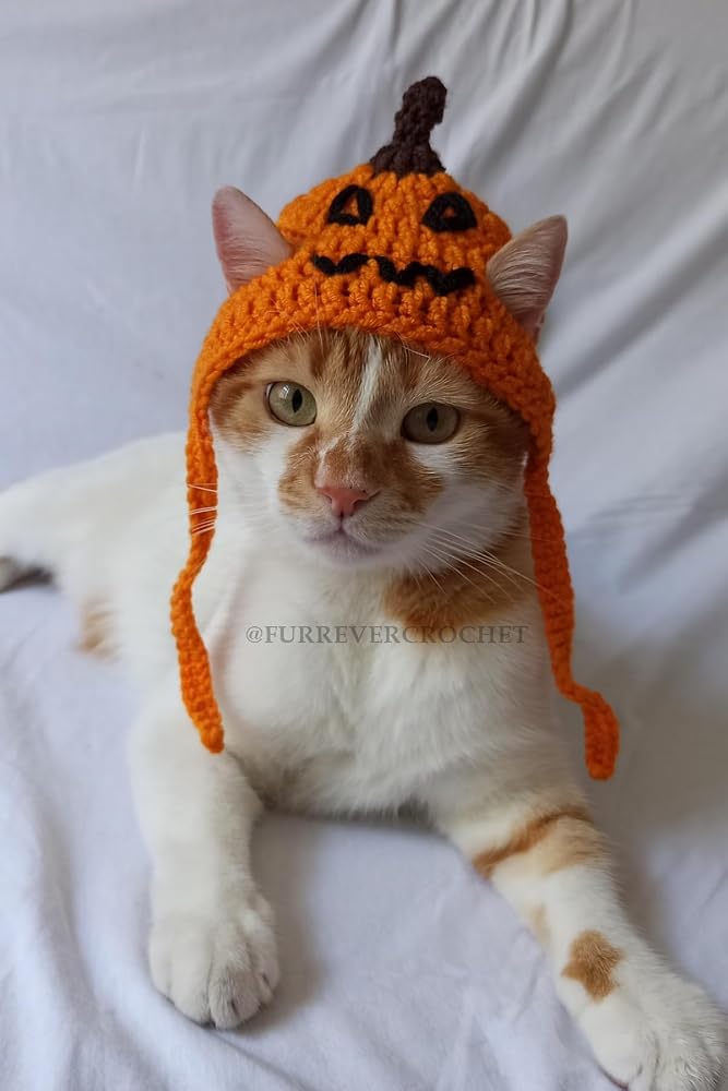 Jack-O-Lantern Balkabağı Örgü Kedi Köpek Şapkası Halloween Pet Aksesuar Korkunç Turuncu Pumpkin Bere