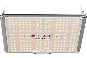 Hon&Guan Grow Lampe LED 100W, Vollspektrum Pflanzenlampe mit LM301H EVO, 6500K Wachstumslicht, Dimmbar Wachstumslampe, Zimmerpflanzen Grow Light für Growzelte Growtent Growzelt 60x60cm 40x40cm