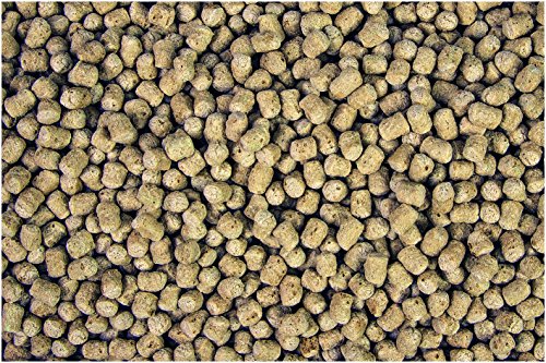sera 07198 pond sticks energy plus (5 kg) 40 l – Energiefutter für Koi und andere Teichfische mit Weizenkeimen - 2