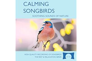 Calming Songbirds - Nature Sounds Recording Of Bird Calls - For Meditation, Relaxation and Creating a Soothing Atmosphere - Nature's Perfect White Noise -