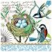 Michel Design Works 20-Count 3-Ply Paper Luncheon Napkins, Bird Nest RS.1637.00