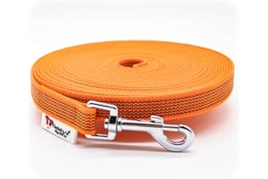Twinkys Dog Style Drag Leash, Laisse caoutchoutée pour Chien, Largeur 20 mm pour Chiens jusqu'à 50 kg - sans dragonne 10 mètre Orange