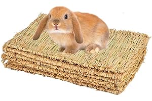 CAMITER Estera de la Hierba del hámster, 4 pcs Alfombra de Hierba Tejida a Mano Natural, Cama de Juguete Masticable para Mascotas Pequeñas para Indias, Conejos, Perros, Chinchillas y Hámster
