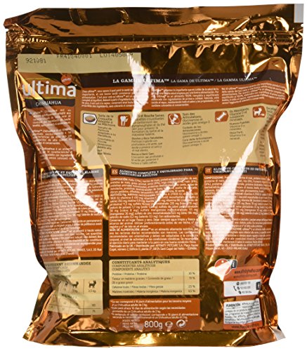 Lavagnetta magnetica con Chihuahua dal pelo lungo