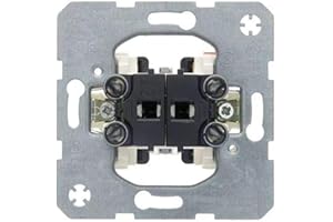 Berker - 3035 doble interruptor 10a 250v Ref. 6510000005