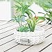 Produktbild Lanlan Geflecht Stroh Blumentopf Blumenkorb Arts dekorativer Crafts großer Mund