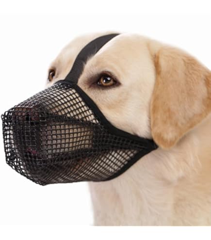 Hondenmuilkorf Met Verstelbare Riemen, Zachte Mesh Bedekte Muilkorven Voor Kleine Middelgrote Grote Honden