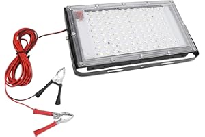 Lvifloae 100W LED Flood Light 12V Flood Light Board IP66 Waterdes Outdoor -LED -Flutlicht mit Batterie -Alligator -Clip für Notfall -Notfall -DC12V