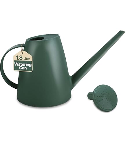 Green Iron Watering Can, 18X8x8 Cm at ₹ 39/piece in Moradabad | ID