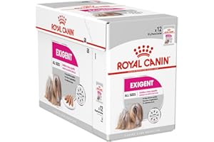 ROYAL CANIN Exigente Mousse | 12 x 85 g | Nourriture Humide pour Chiens Adultes à partir de 10 Mois | pour Chiens Difficiles | avec protéines de qualité supérieure