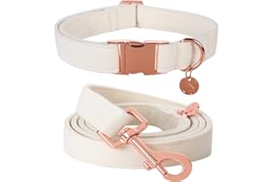 DOGWONG Hundehalsbänder Weiß, Hundehalsbänder und Leine aus Weiß hundehalsband, Bequeme verstellbares Hundehalsband für kleine mittelgroße Hunde