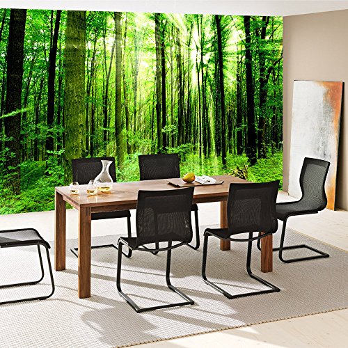 Fototapete Wald – ALLE WALDMOTIVE auf einen Blick ! Vlies PREMIUM PLUS – 200×140 cm – SUNLIGHT FOREST – Wald Bäume Sonnenstrahlen grün Ruhe – no. 061 - 7