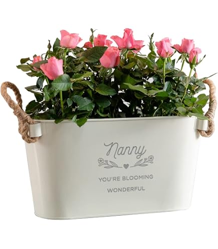 Sonnenfänger Geschenk Für Oma/Nanny – Schmetterling Mit Kristallen, 340mm, Bunt
