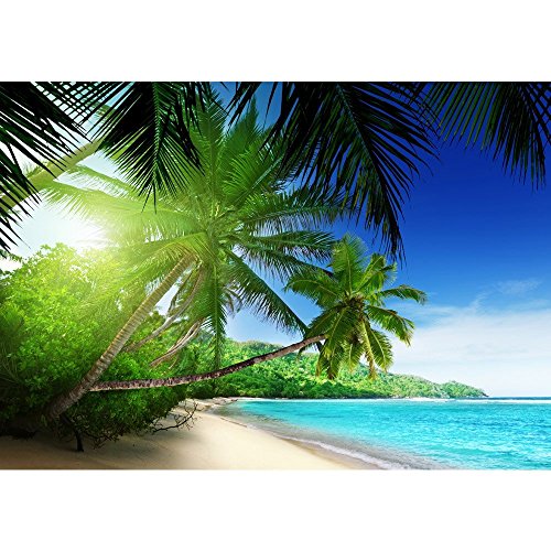 Vlies Fototapete PREMIUM PLUS Wand Foto Tapete Wand Bild Vliestapete - PARADISE BEACH - Strand Meer Palmen Beach 3D Ozean Palme - no. 005, Größe:300x210cm Vlies