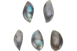 AHANDMAKER 5 Pz Pietra Labradorite Naturale, Ciondoli Cabochon Arcobaleno con Pietre Preziose Sciolte A Forma di Muti per Gioielli Fai-da-Te, Collana con Filo, Avvolgimento Artigianale, Foro: 1 mm