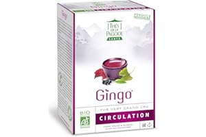 THES DE LA PAGODE Thés de La pagode - Thé Gingo - Thé vert au ginkgo biloba - Formule renforcée et brevetée - Favorise une bonne circulation, réduit l’effet jambes lourdes - Boîte de 60 infusettes