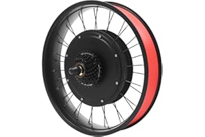 DCSYOG 20 Zoll Fat-Bike Fatbike Umbausatz 48V 1000W Hinterrad E-Bike Bürstenloser Motor Kit mit LCD Display und Daumen-Drehknopf, Electric Bicycle Conversion Kit