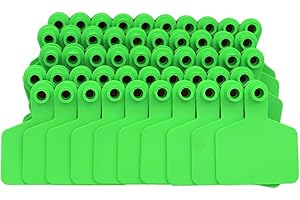 MASXIRCH Etiquetas Ganaderas en Blanco para Vacas, Cerdos y Ovejas, 100 Piezas (Verde)