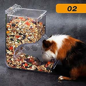 Hamkaw Hamster Feeder Pet Feeder Crittertrail Accessories Small