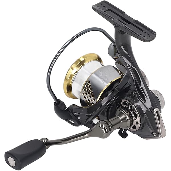 CＡLD IＡ　F C ＬＴ2000s-H Daiwa Caldia FC LT2000S-H 21 : Amazon.in: Sports, Fitness