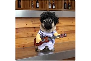 DELIFUR Disfraz de Guitarra para Mascota, Disfraz de Perro, Halloween, Navidad, Cosplay, Fiesta, Ropa Divertida Large