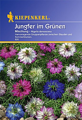 Kiepenkerl Jungfer-Im-Grünen, Mischung