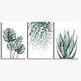 Youshion Art Green Canvas Wall Art for Living Room Bedroom, Monstera Shallow Green Leaf Tropical Succulent Plant Picture Canvas Prints,Modern Framed Minimalist Water Color Set of 3 Piece 16" X 24"