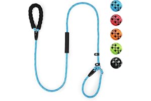 CTYVIOR Slip Lead for Dogs with Soft Padded Handle, 1.8m length Reflective Rope Dog Lead, Slip on Easily No Collar Required or Harness Needed,Anti-Choking,Dog Training Lead For Training/Walking (Light Blue)