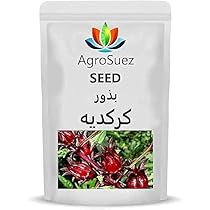 Xarkovda royxatdan otmasdan porno tomosha qiling