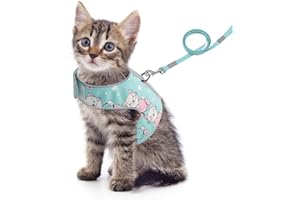 Feimax Pettorina per Gatti con Guinzaglio, a Prova di Fuga, Regolabile, Imbottito in Morbida Rete Traspirante, Imbracatura Riflettente per Passeggio per Gatto Piccolo e Medio
