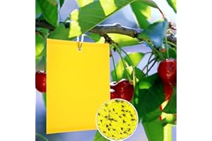 Panngu 20 żółtych pułapek na muchy, klejące pułapki na owady, do wiśni, żółtych tablic, profesjonalne żółte naklejki, na muchy, mszyce, liście, górniaki, mole i inne owady