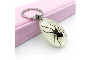 STMIYI Real Insect Resin Amber Specimens,Key Ring,Natural Glow-in-The-Dark Real Insect Scorpion Spider Crab Bee Ant Cicada Keychain Bag Charm Keyring Beetle Animal Specimens Collecting,Exquisite
