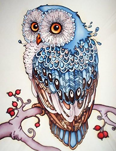 Diamond Painting Full Kits, CONMING 5D DIY Handmade Rhinestone Cross-Stitching Set for Home Room Wall Decoration owl pattern