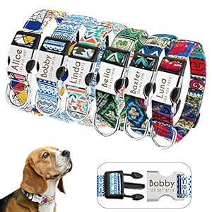 Didog – Collares personalizados para perros con hebilla de liberación rápida grabada, diseños modernos, para perros pequeños, medianos y grandes