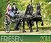 Friesen Pferde 2014 Kalender - 46x39 cm by 