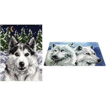 Latch Hook Kit Knupf Sets Fur Kinder Und Erwachsene Zum Selber