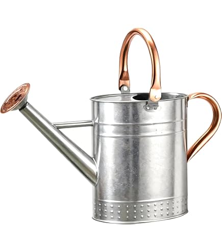 Annaffiatoio In Metallo Zincato Da 5 Litri - Con Rosa - Ideale Per Giardino E Piante